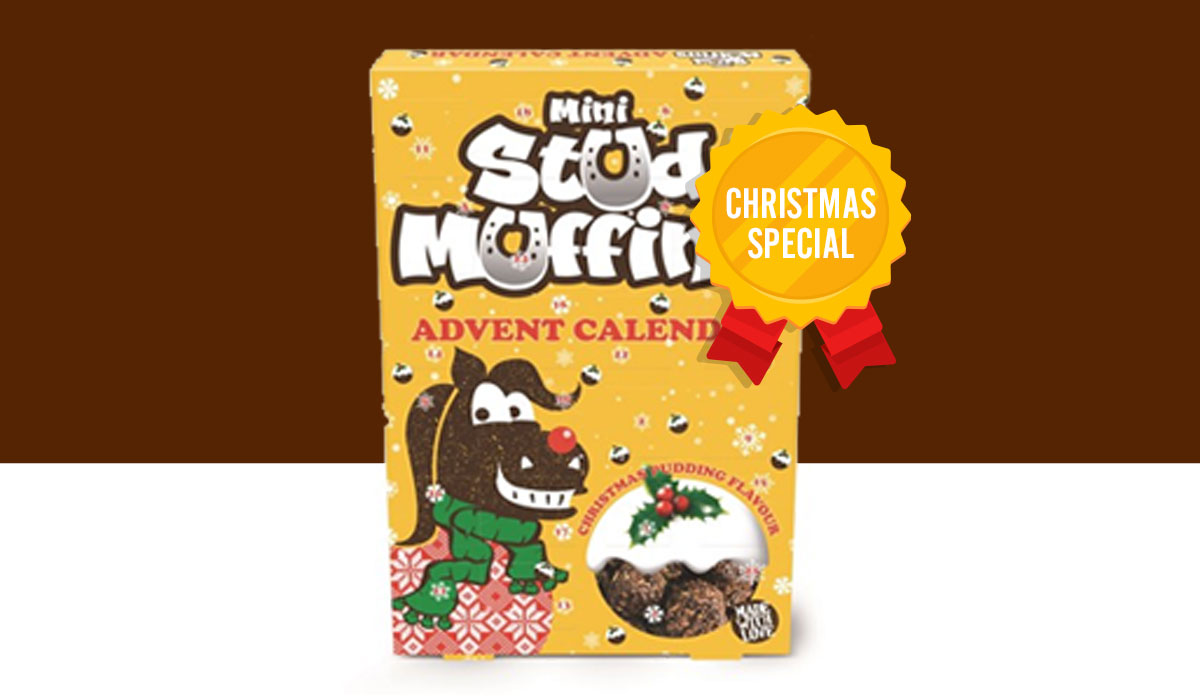 Christmas Pudding 15 Pack - Stud Muffins